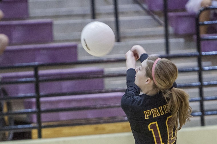 Volleyball: MP vs Hamilton